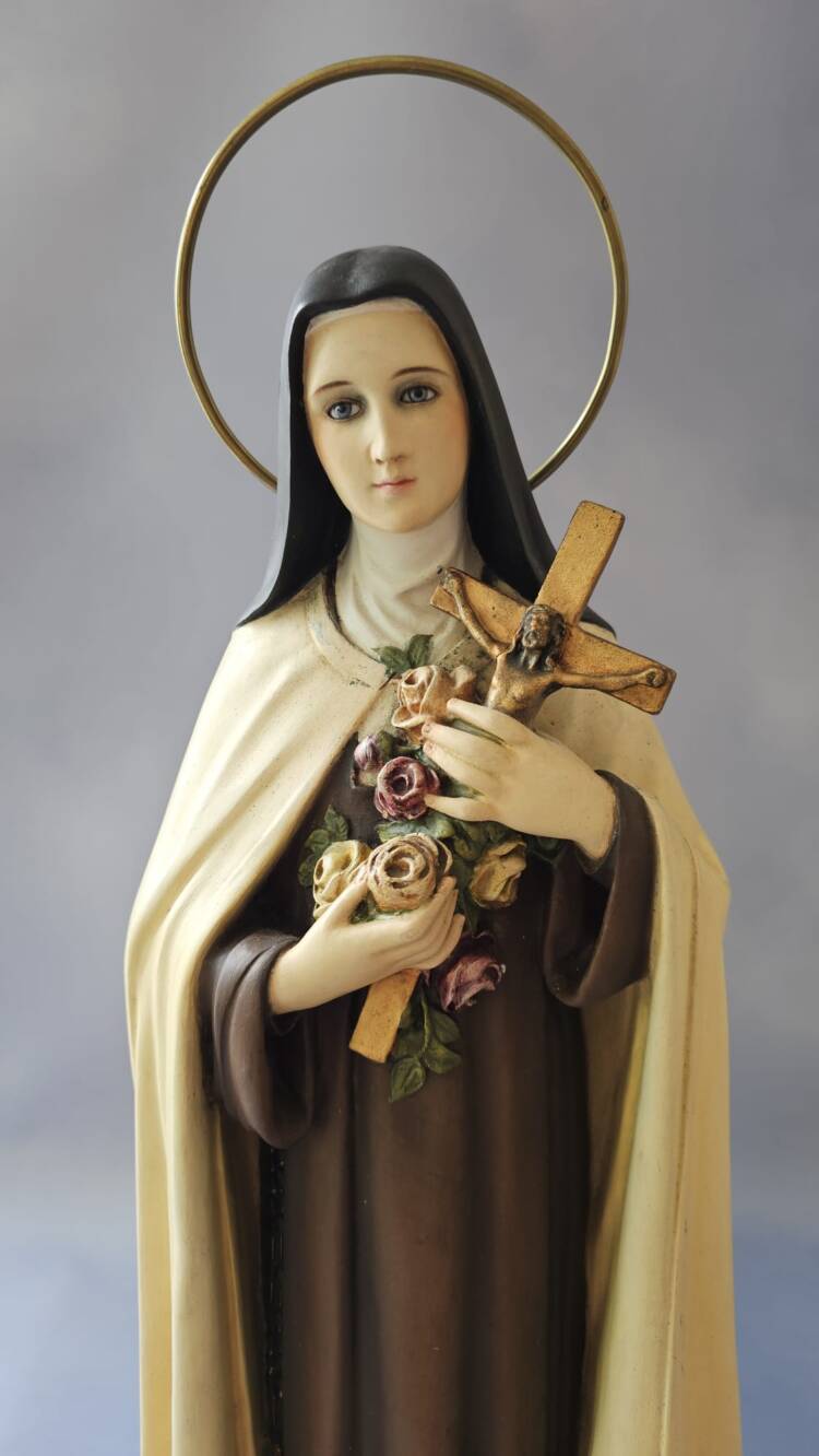 Santa Teresita del niño Jesus - Imagen 5